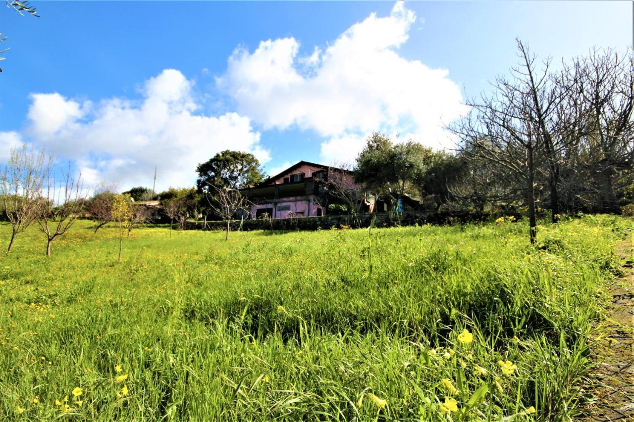 La Tinaia Country House Guest House Magomadas Exterior photo